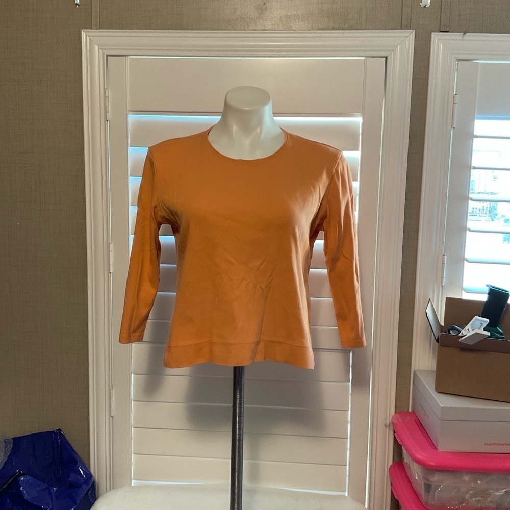 Petite Sophisticate Orange Long Sleeve Top